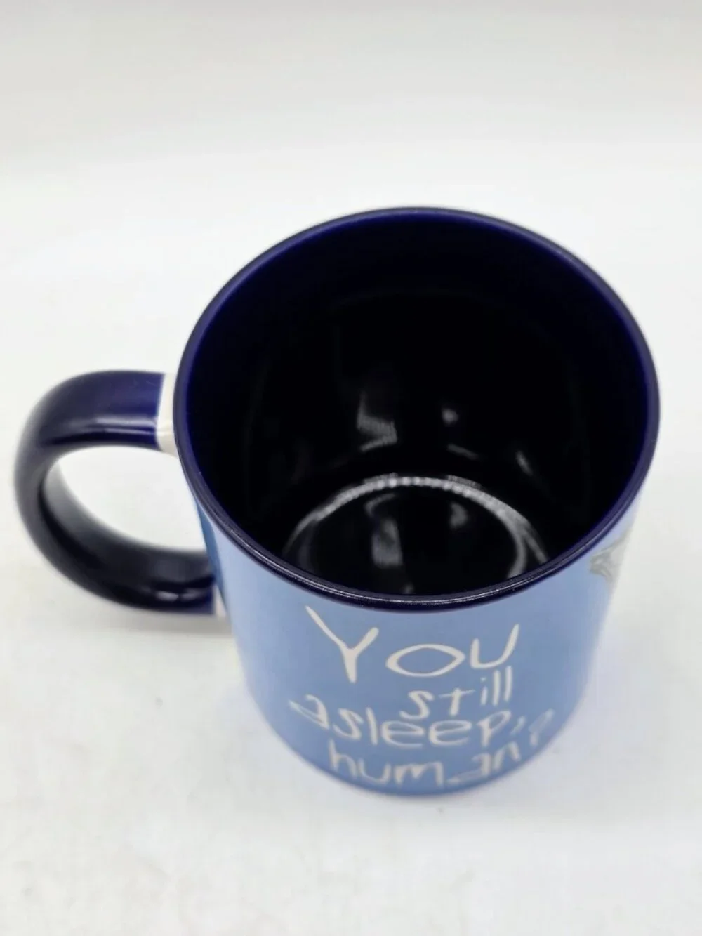 Cat Humor You Still Asleep Human? Coffee Cup Mug By Pithitude Microwave Safe